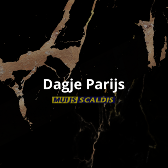 Dagje Parijs