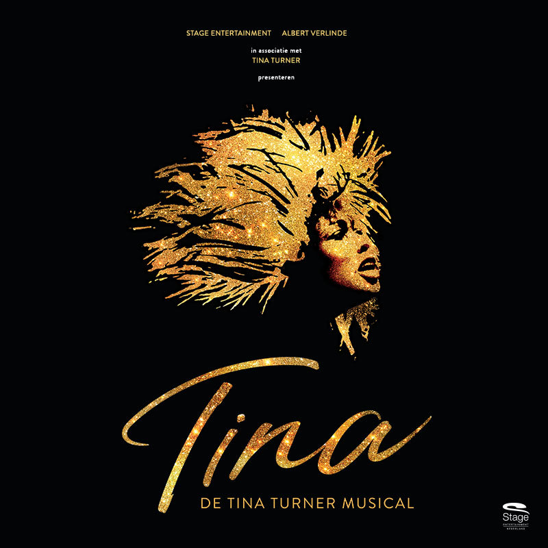 Musical-Tina-Turner