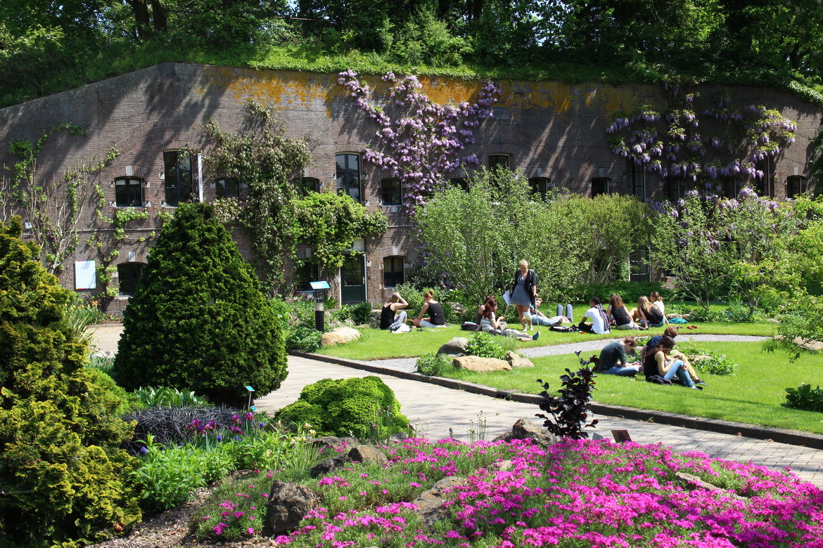 Botanische-tuin-en-weeshuismuseum