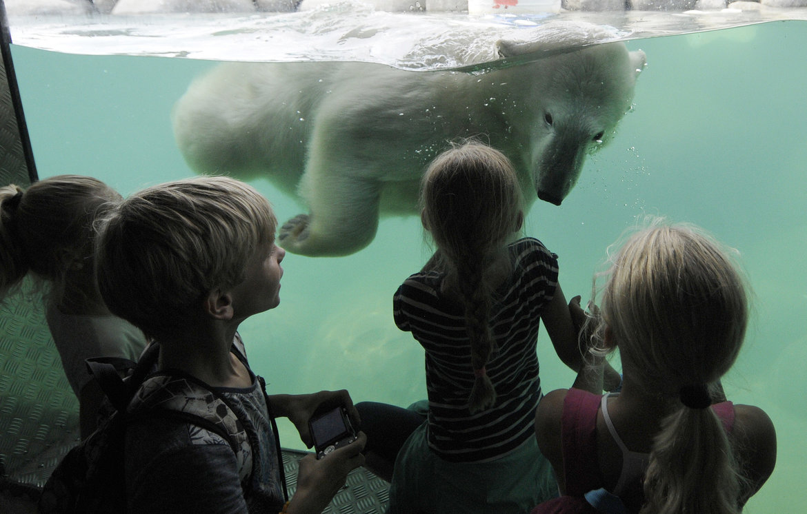 Wildlands-Adventure-Zoo-Emmen