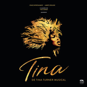 Musical Tina Turner